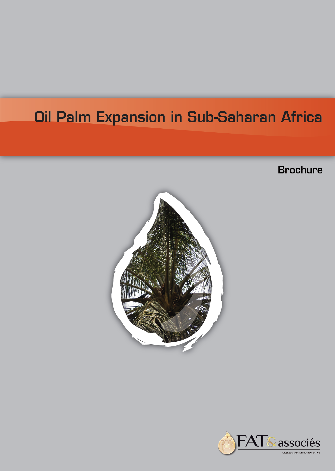 2018 Africa Palm